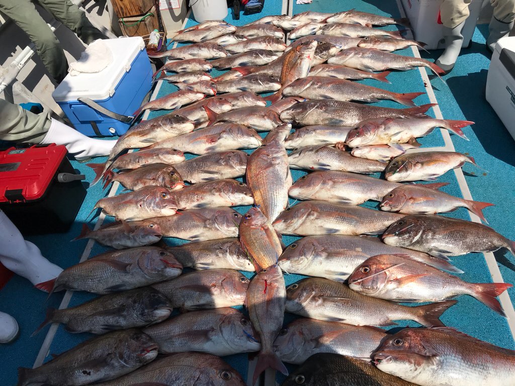 釣果写真