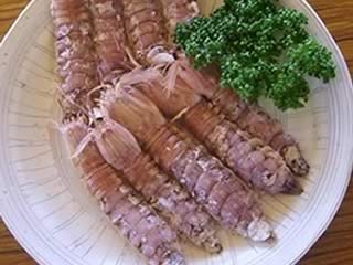 蝦蛄を食す！