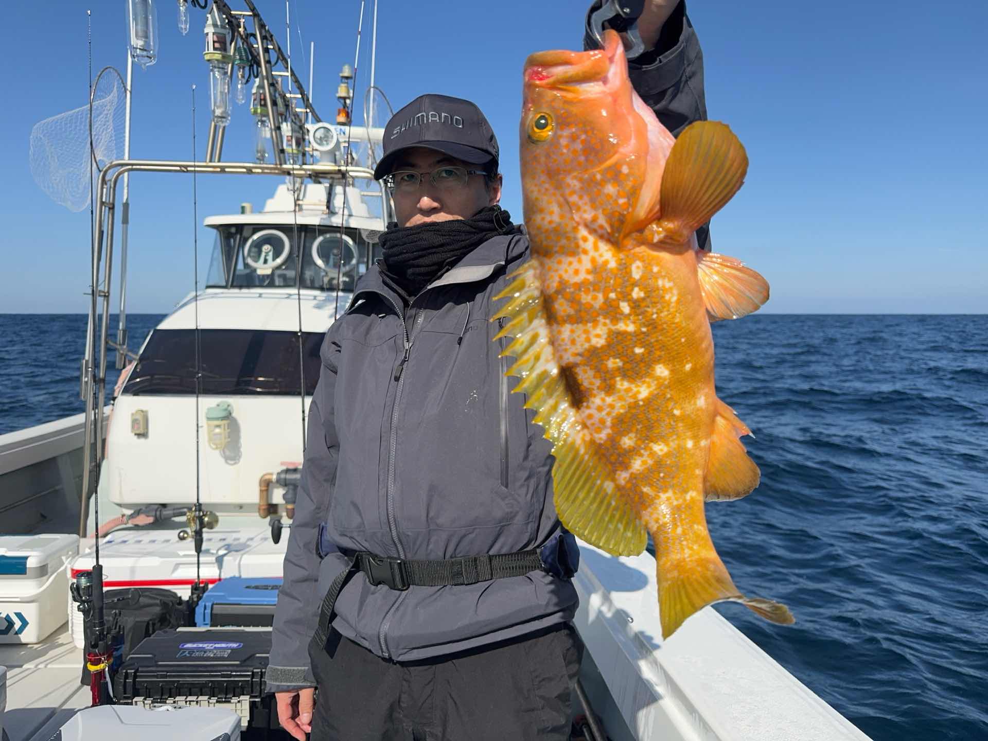 福岡遊漁船(釣り船)昭隆丸|2026年-0月1-日釣果
